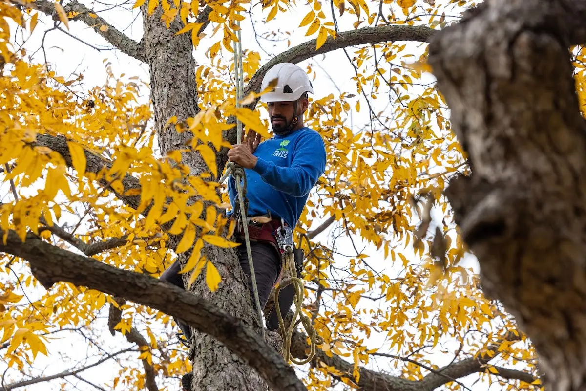 Skilled Storm Damage Cleanup crew working in Amarillo