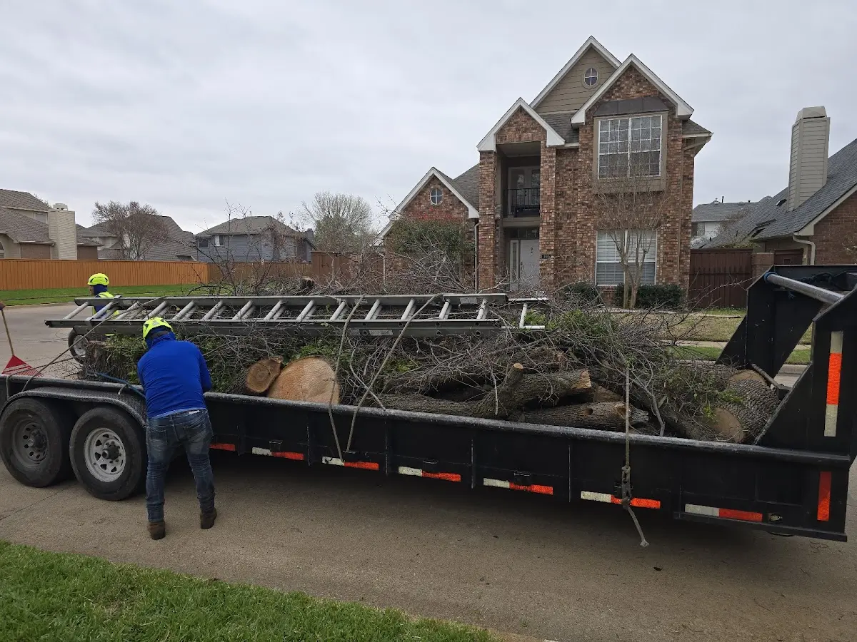 Expert Tree Pest Control with proper safety equipment in Amarillo